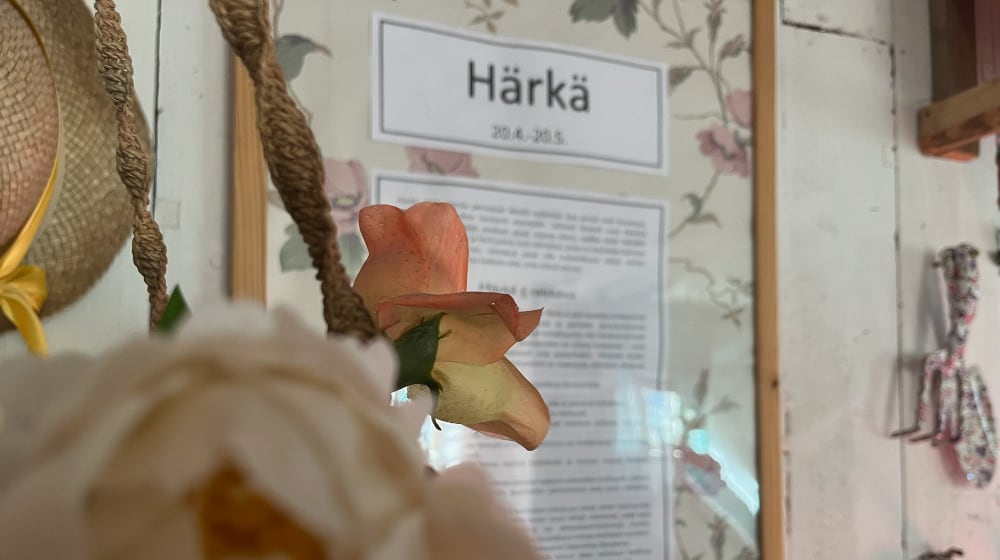 Aurora Template by BLOCS PREMIUM