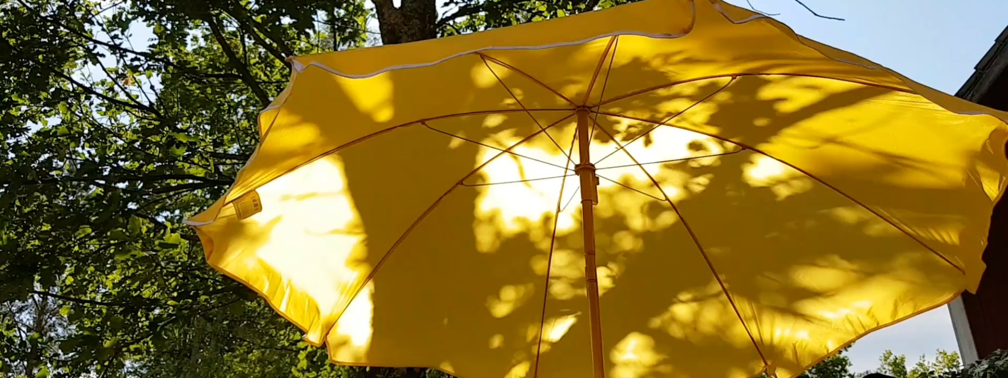 c5620cd4 f0b0 43ad ab0e 908917b10079